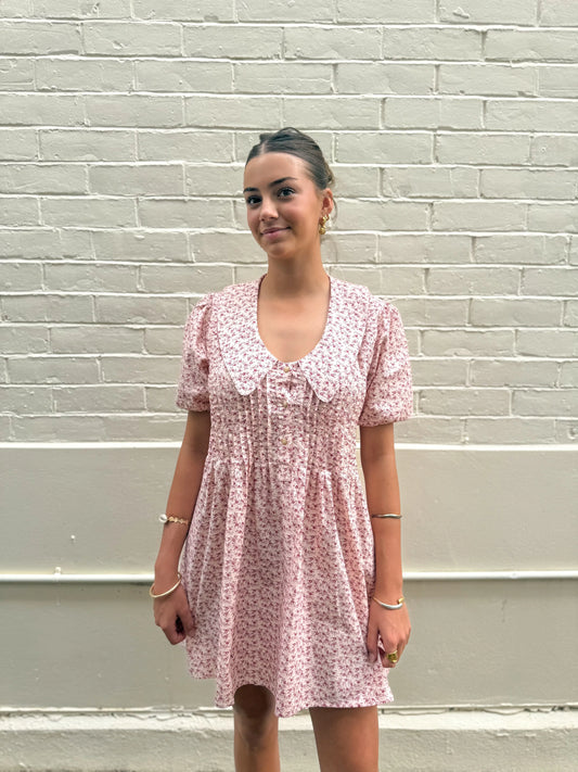 Gaia Mini Dress | Aspen Floral