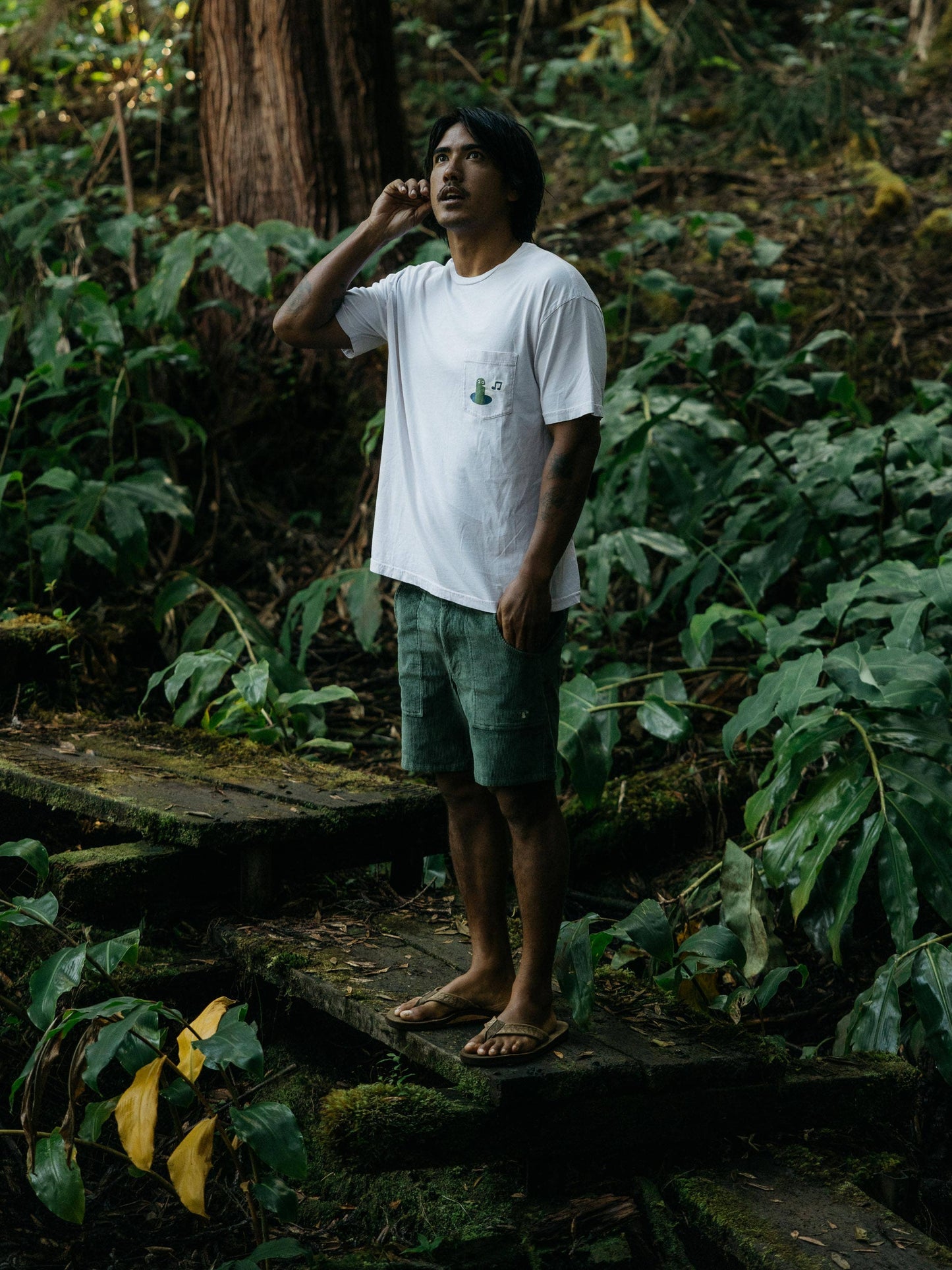Mollusk - Shroom Shorts: Rover Green