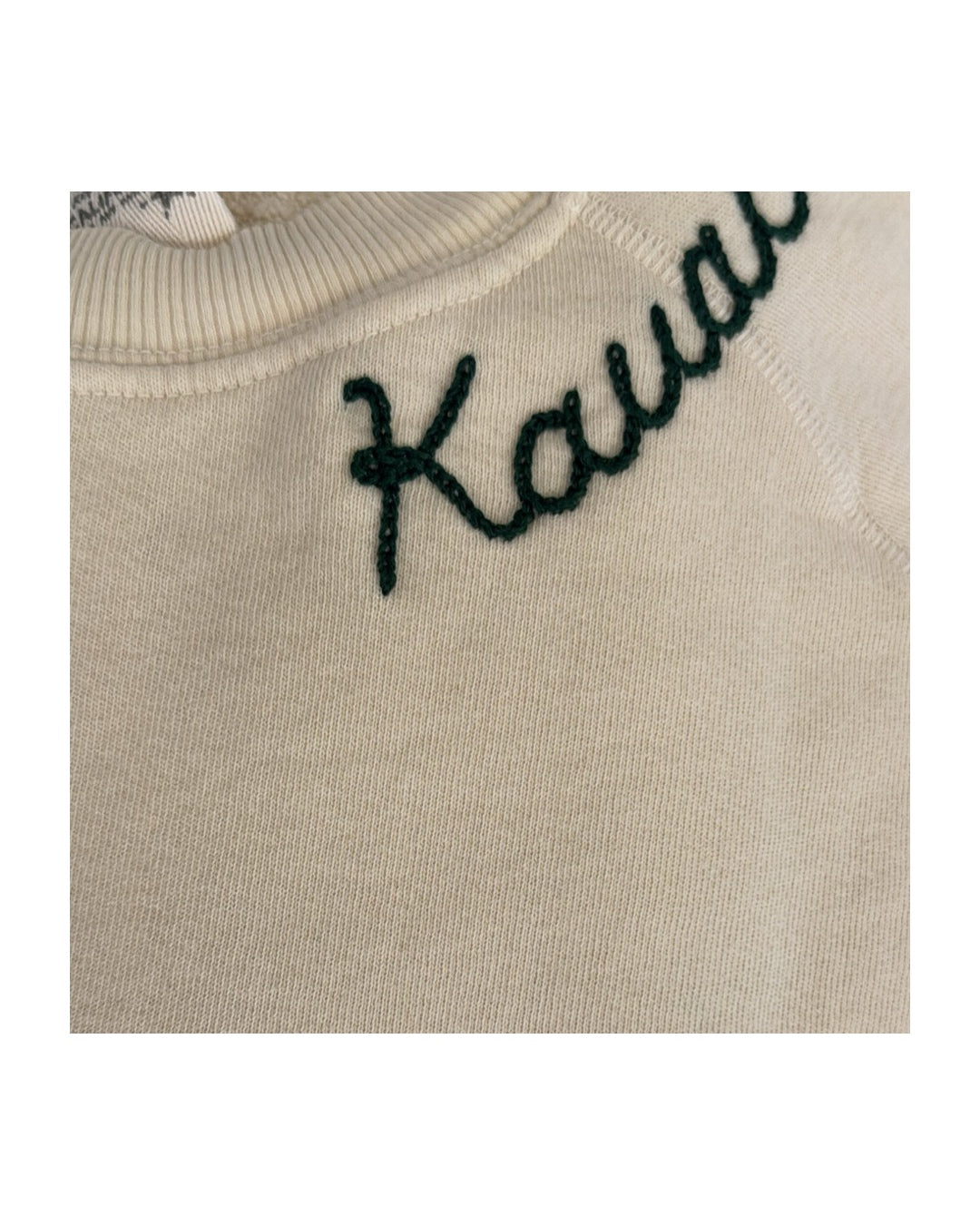 Kauai Embroidered Vintage Sweatshirts | Summer Burst
