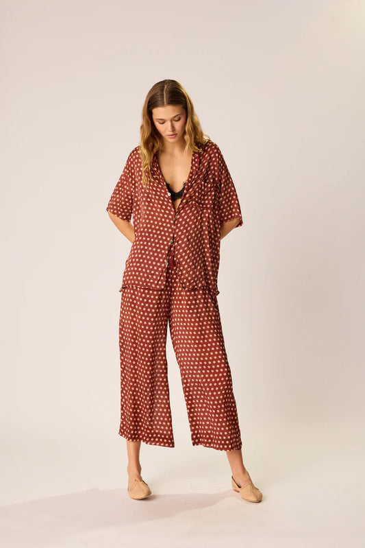 KEVIN SHIRT  POLKA DOT CAPPUCCINO